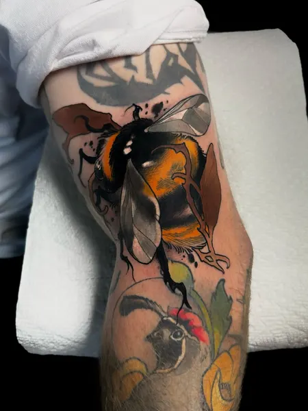 Animal