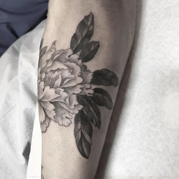 Rose, Flower, 꽃다발