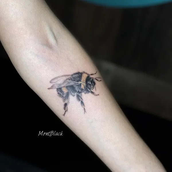 Animal, 개미, 벌, 뱀파이어, 함사, 염소자리