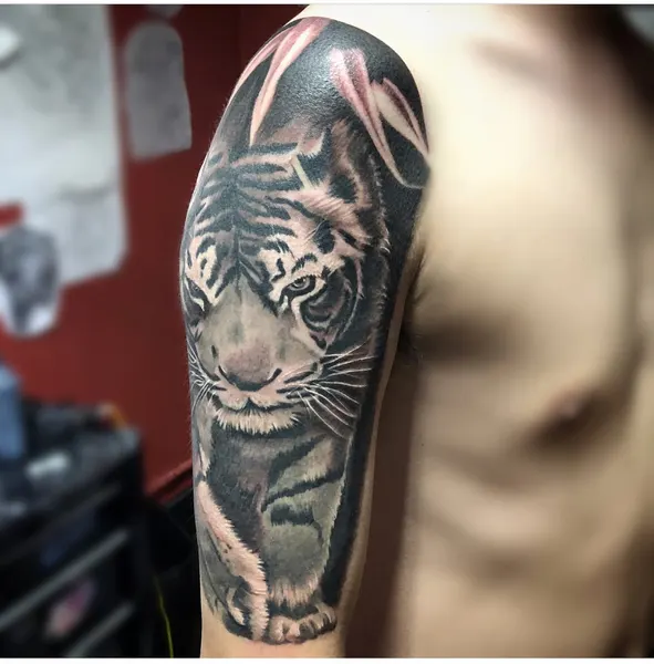 Tiger, 일본 호랑이, 중국 호랑이, 한국 호랑이