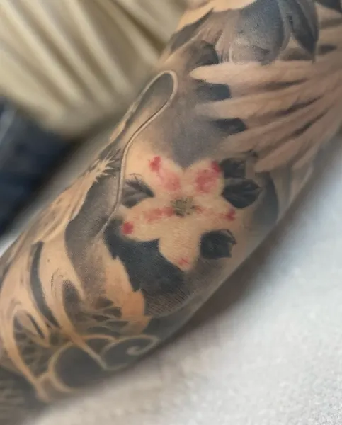 매화, Flower, Rose