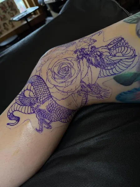 Dragon