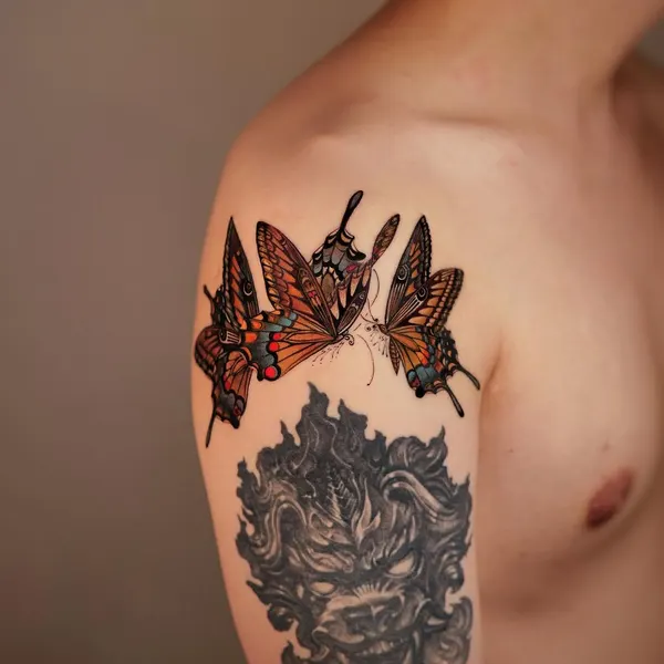 Animal, Nature, 매미