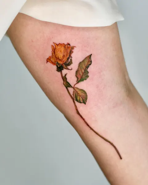 Flower, Rose
