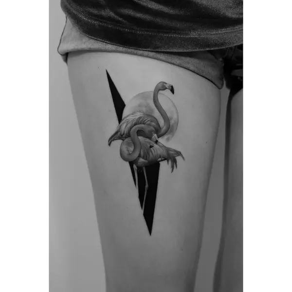 Flower, Animal, 플라밍고