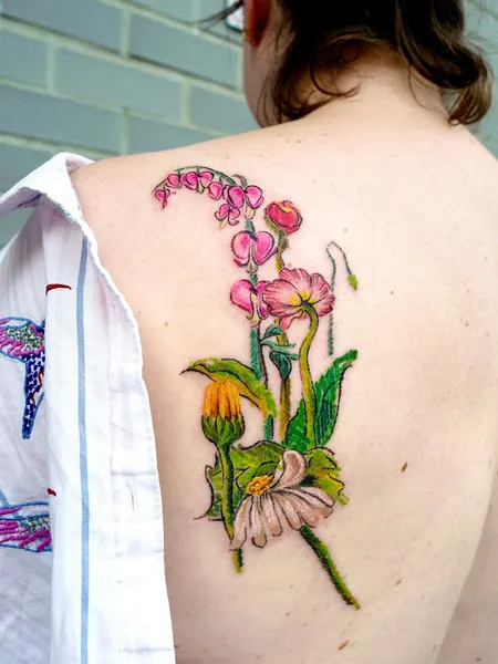 Nature, Rose, Flower