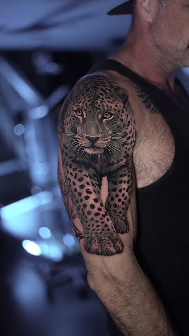 Animal, 표범, 재규어, 치타