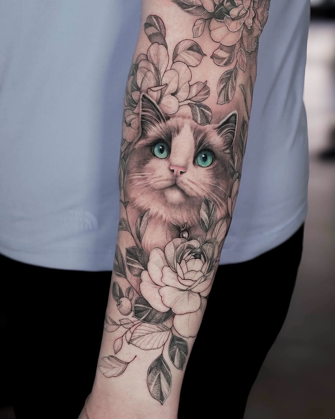 Animal