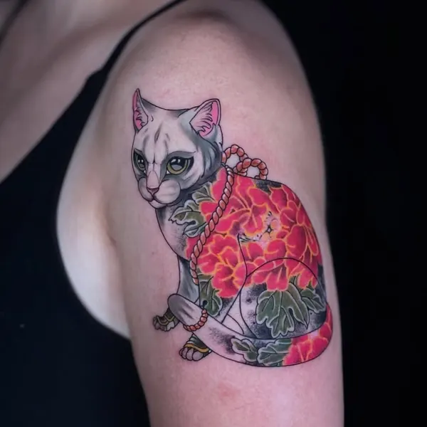 Animal