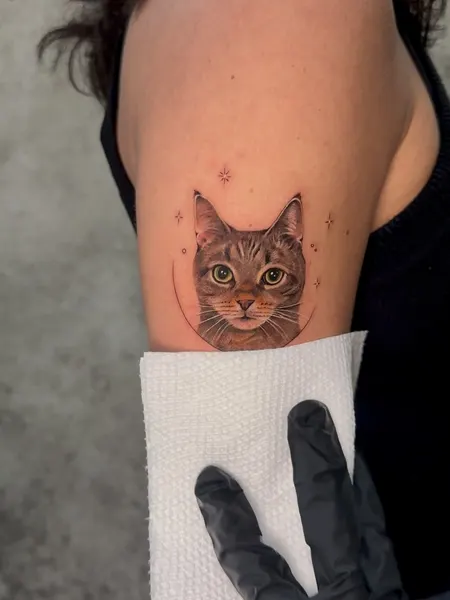 Animal