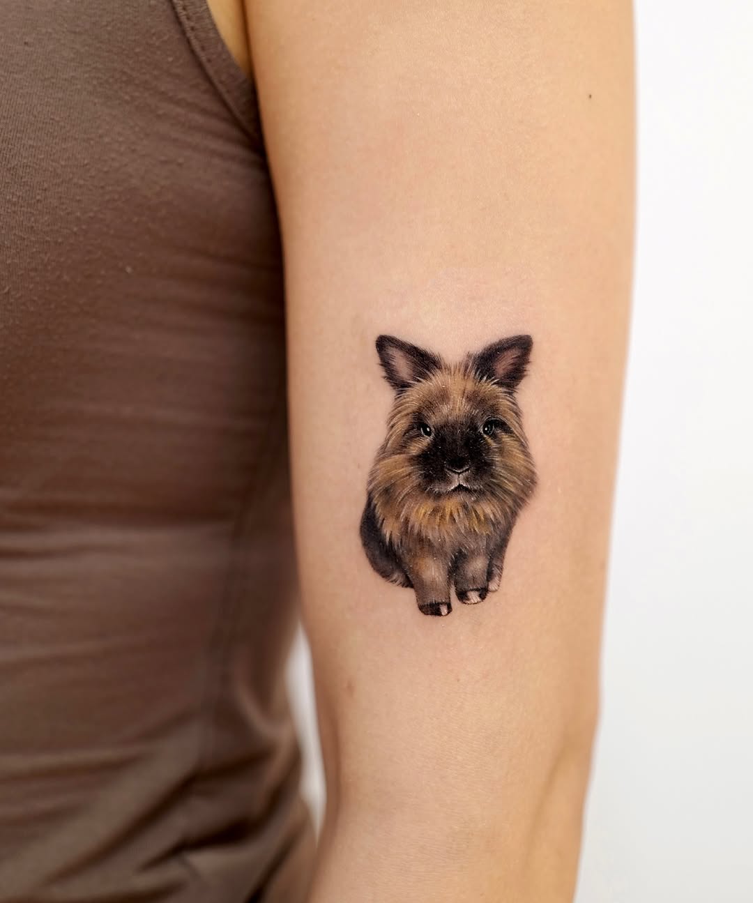Animal