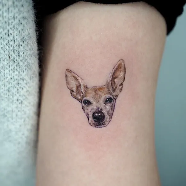 사슴, Animal