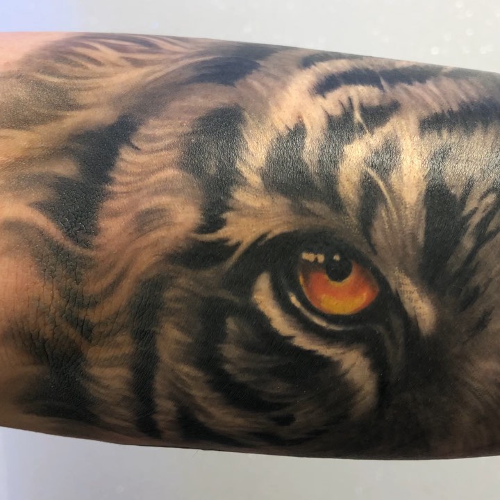 Tiger, 일본 호랑이