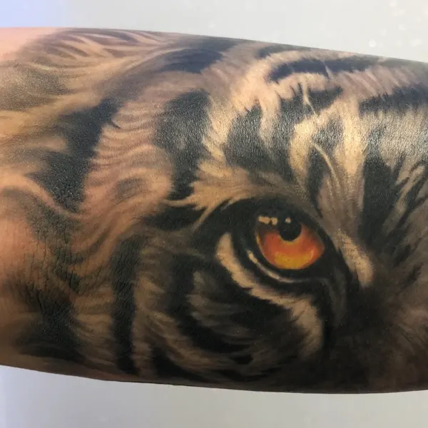 Tiger, 일본 호랑이