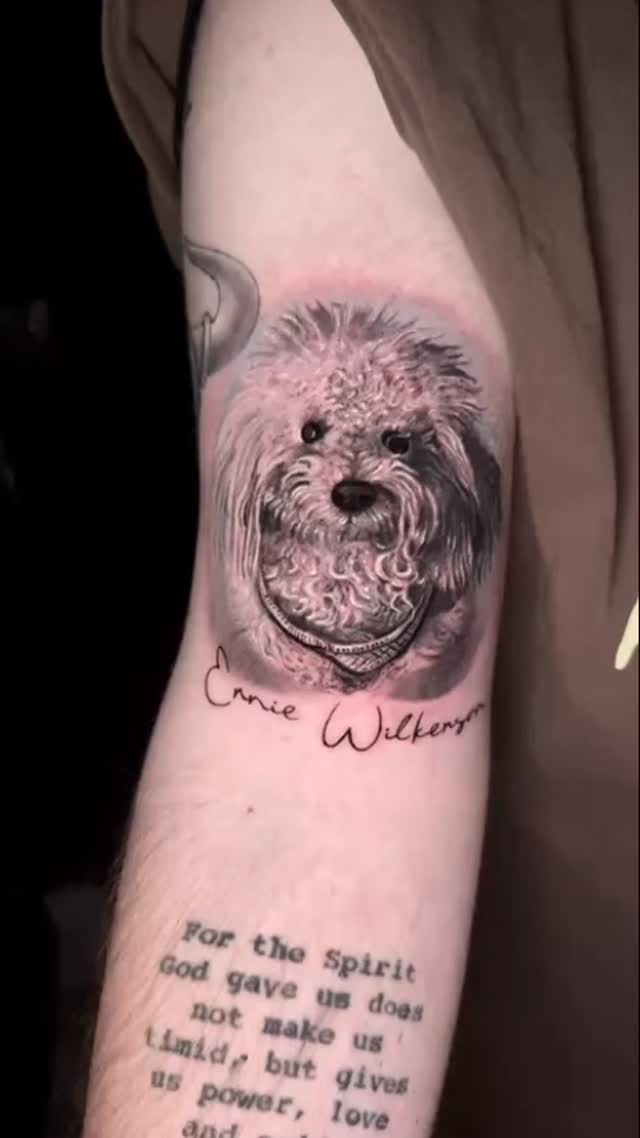Animal