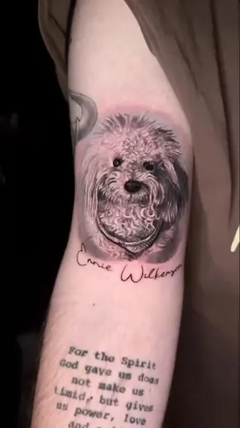 Animal