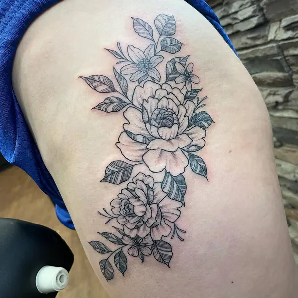 Flower, Rose, Nature