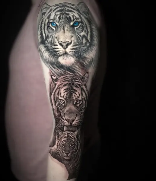 Tiger, 재규어