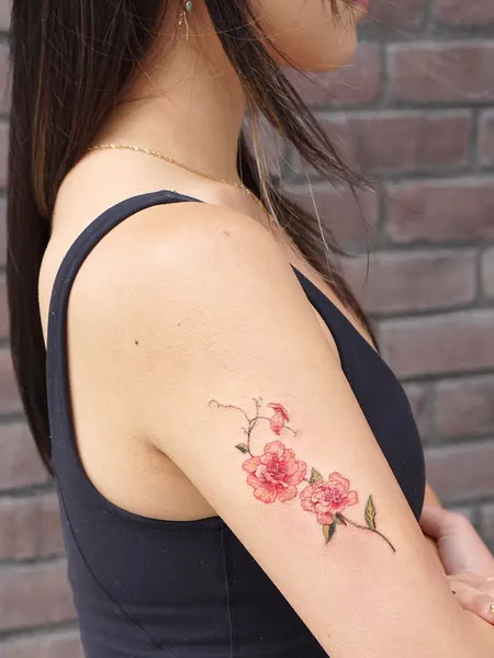 Flower, Rose, Nature