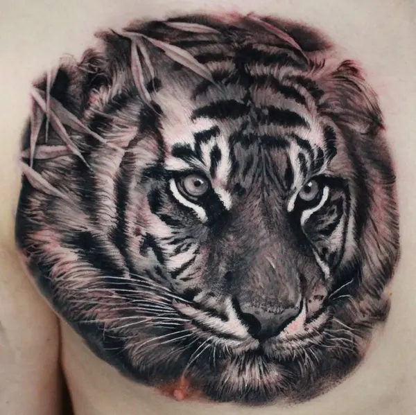 Tiger, 중국 호랑이
