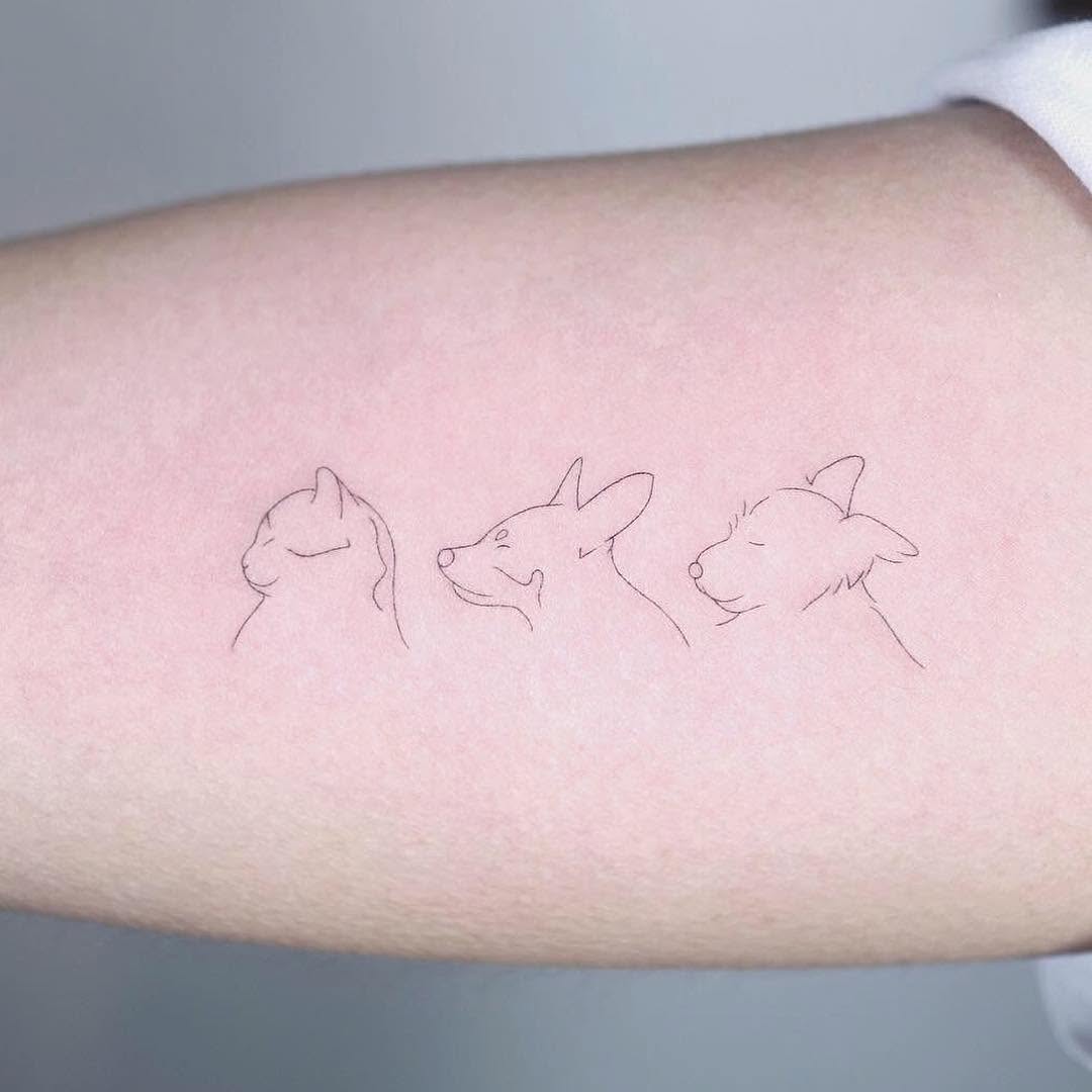 Mini, 서명