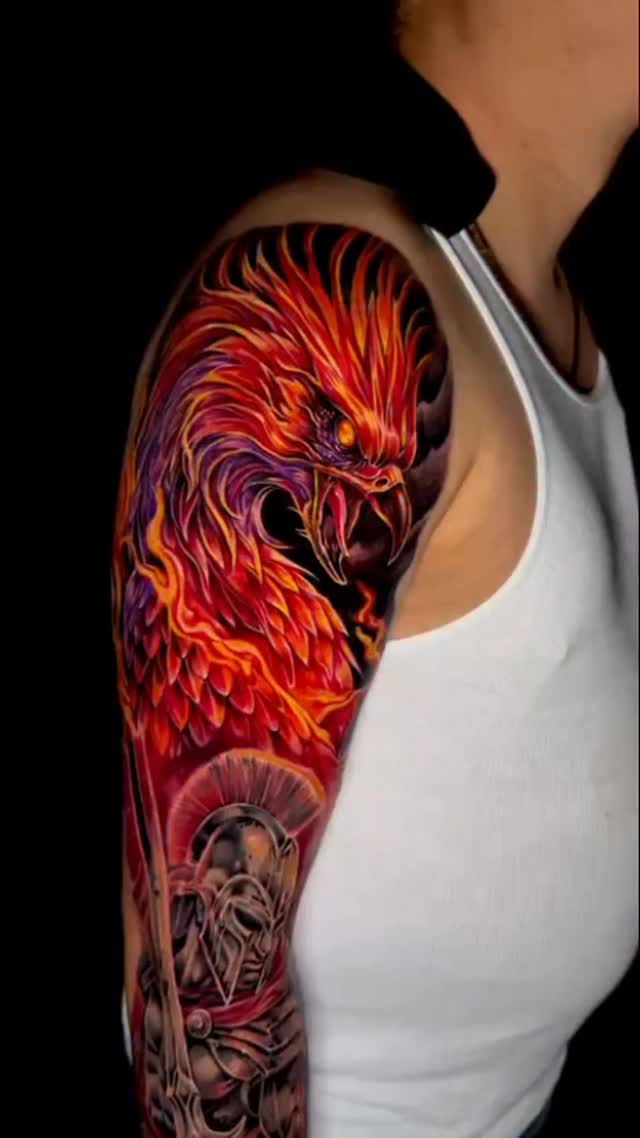 Dragon, 불사조