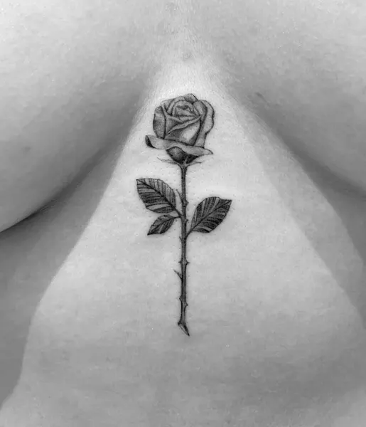 loko_lines