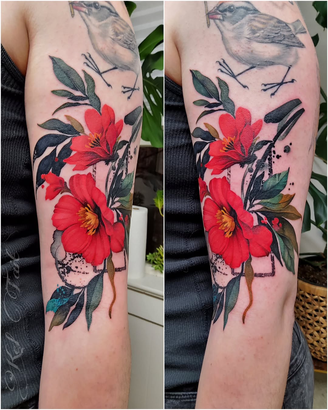 Flower, Rose