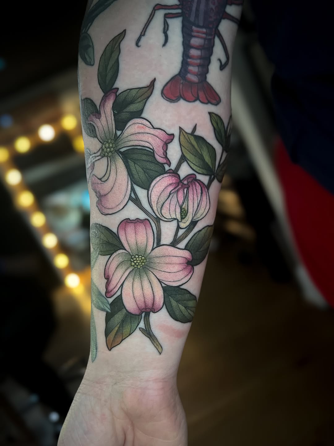 Flower, Rose, 매화