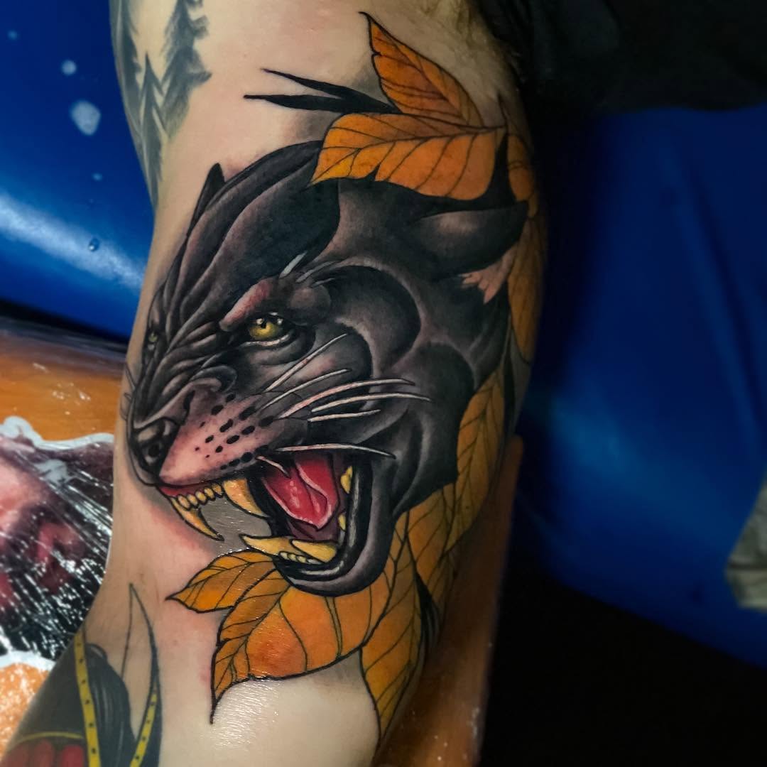 Tiger, Animal