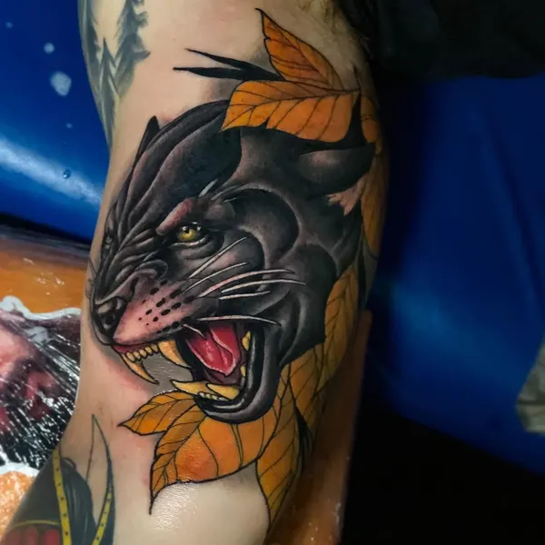 Tiger, Animal