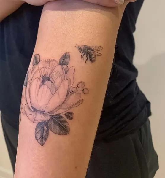 Flower, Rose