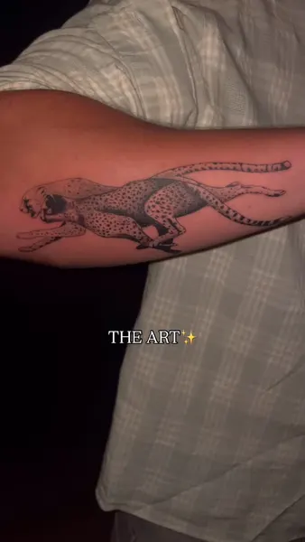 Tiger, Animal, 악어