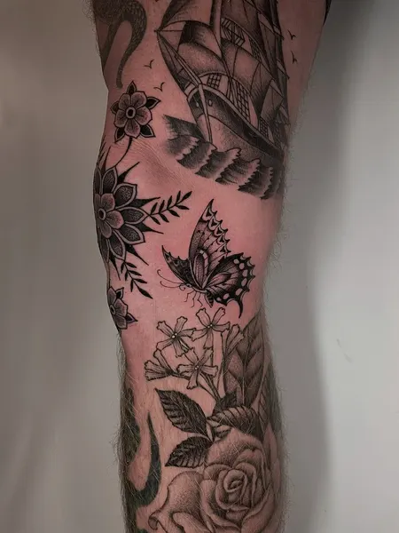 Flower, Rose, Nature, Animal