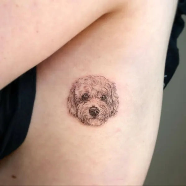 곰, 돼지, 다람쥐, 코알라, 고슴도치, 나무늘보, 판다