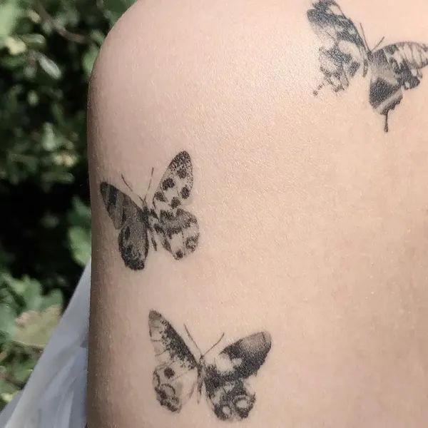 Animal, Nature, 동백꽃