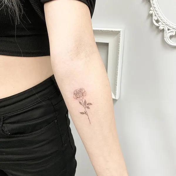 Flower, Lettering, 동백꽃