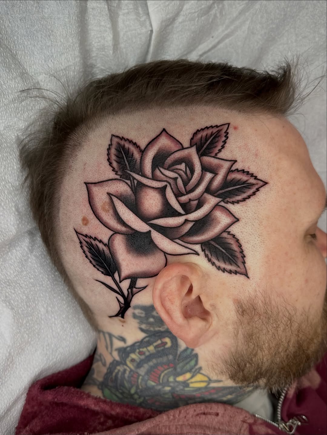 Flower, Rose