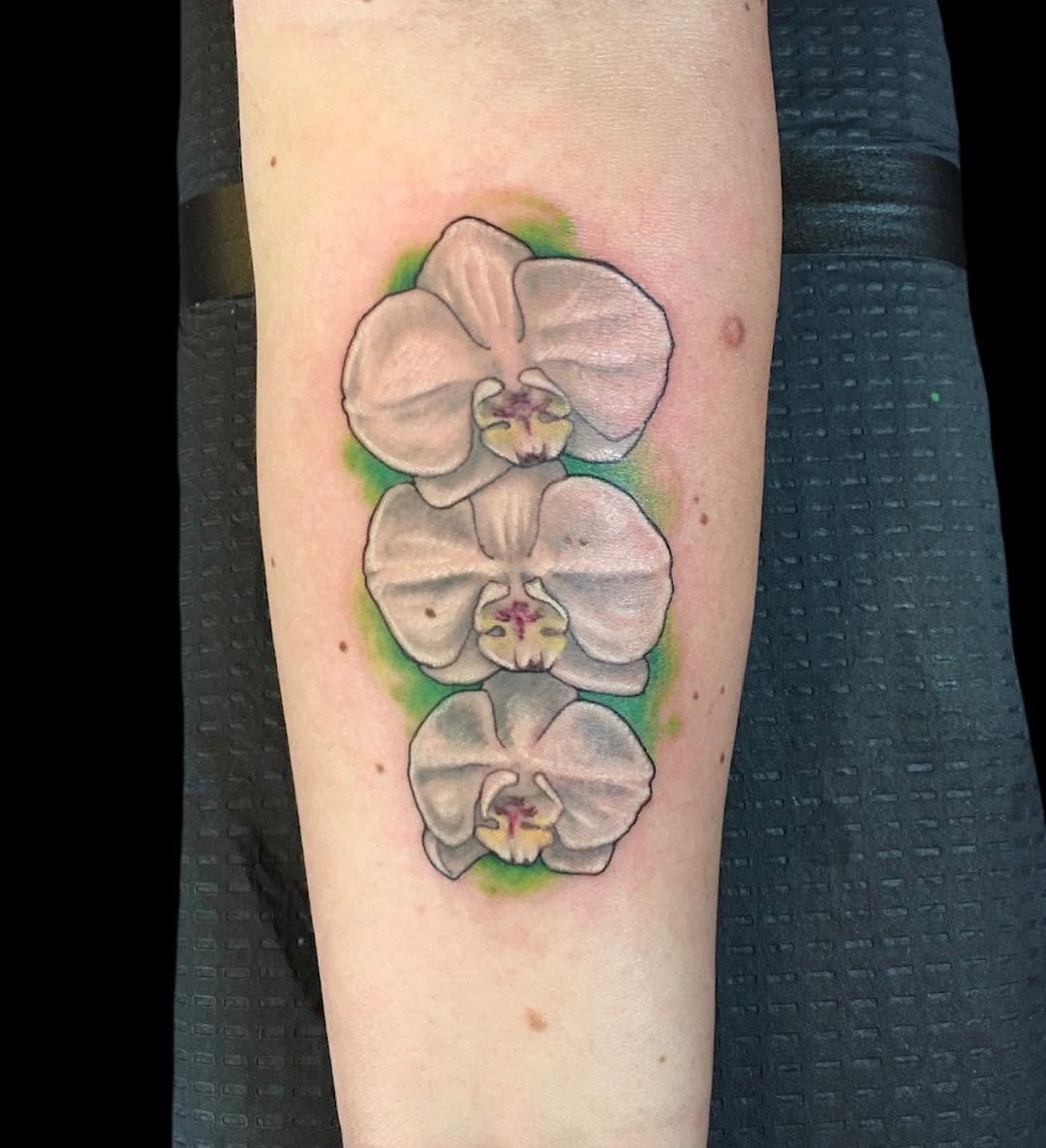 Flower, 난초