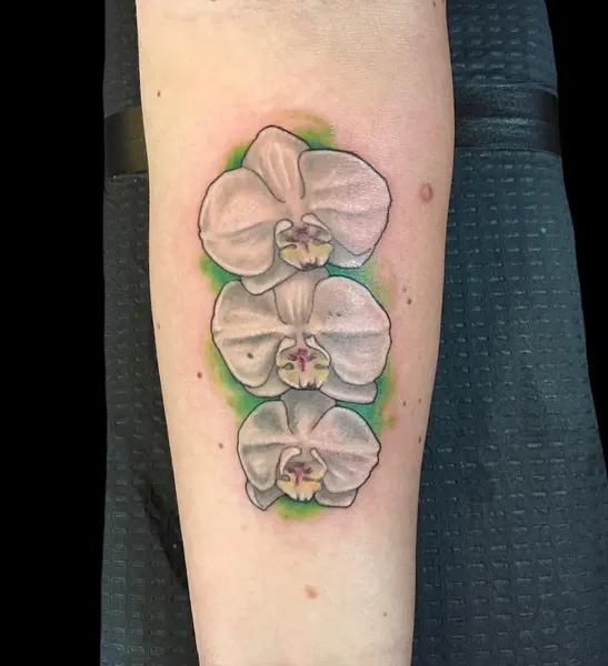Flower, 난초