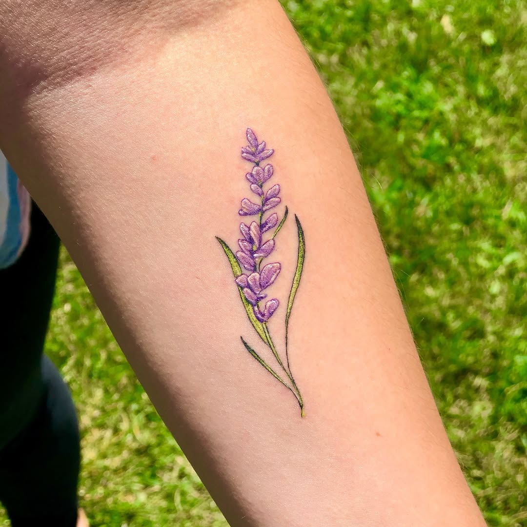 Flower, 라벤더, 야생화