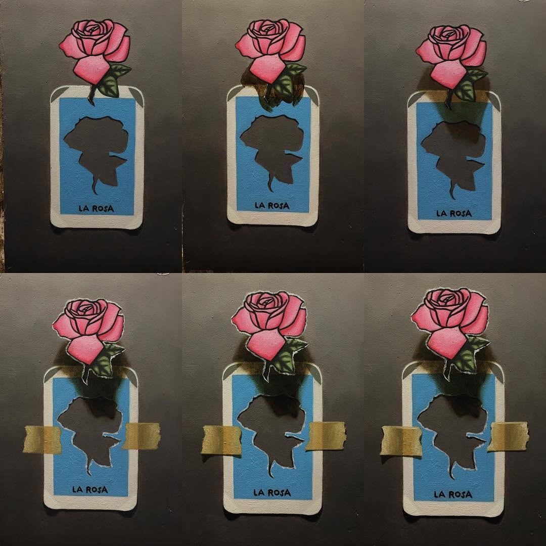 Flower, Rose