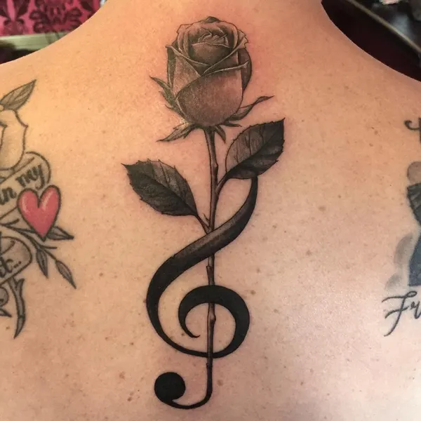 Rose, Nature, Flower