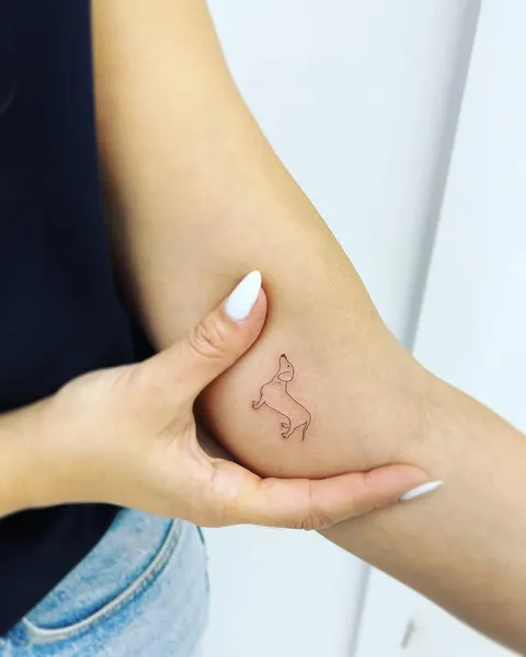 Mini, 사슴, 양자리, 유니콘, 염소자리, 염소