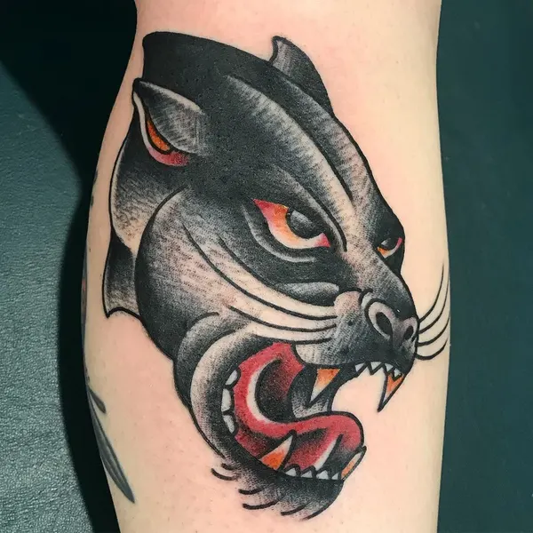 Tiger, Animal