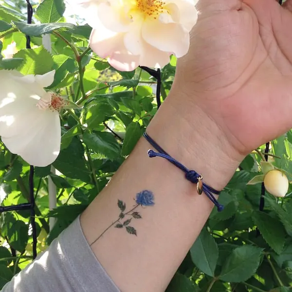 Flower, 라벤더, 허브