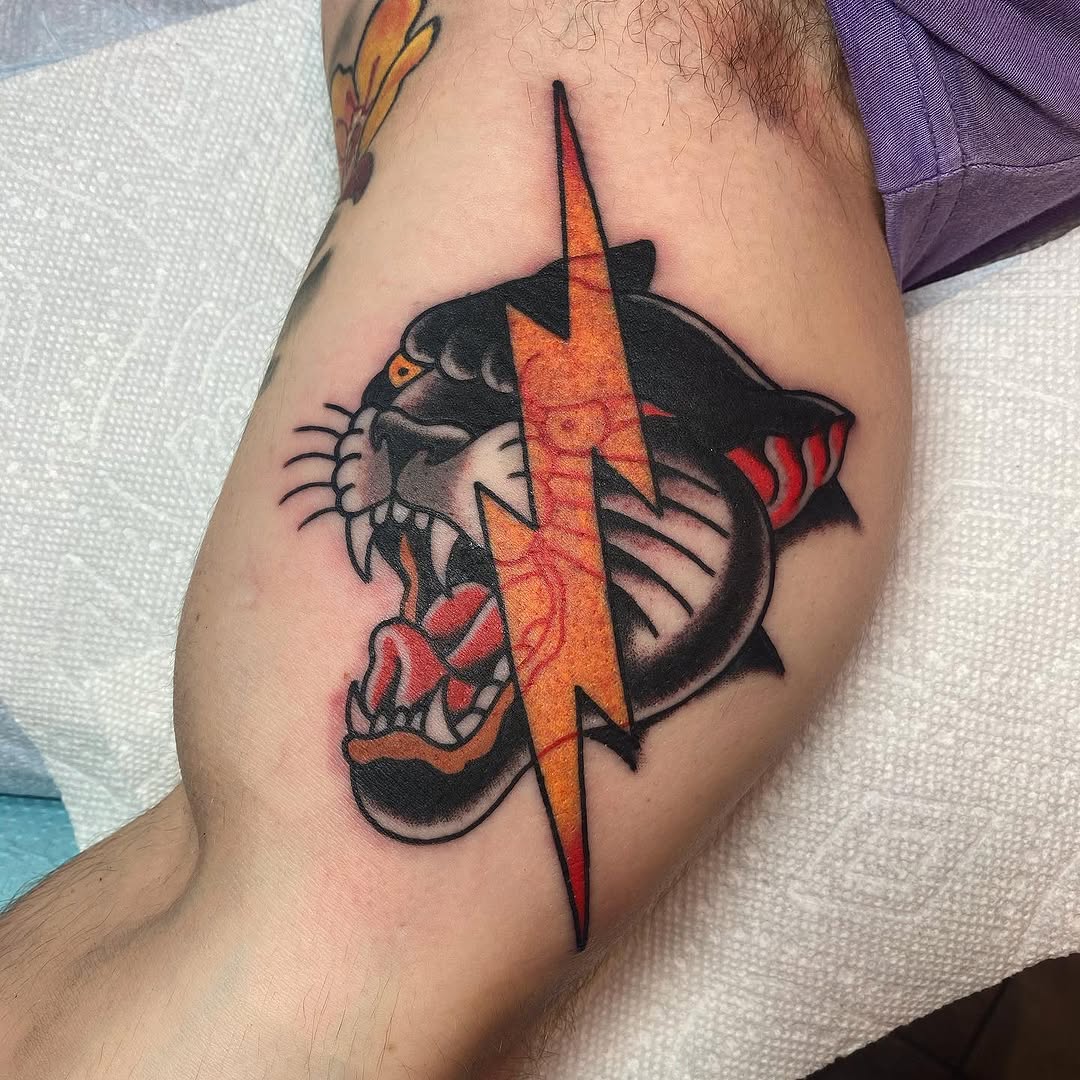 Tiger, Animal, 번개