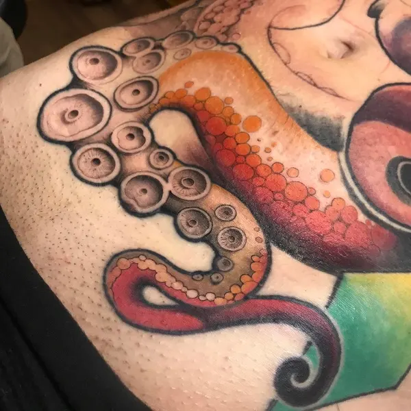 Animal, 문어