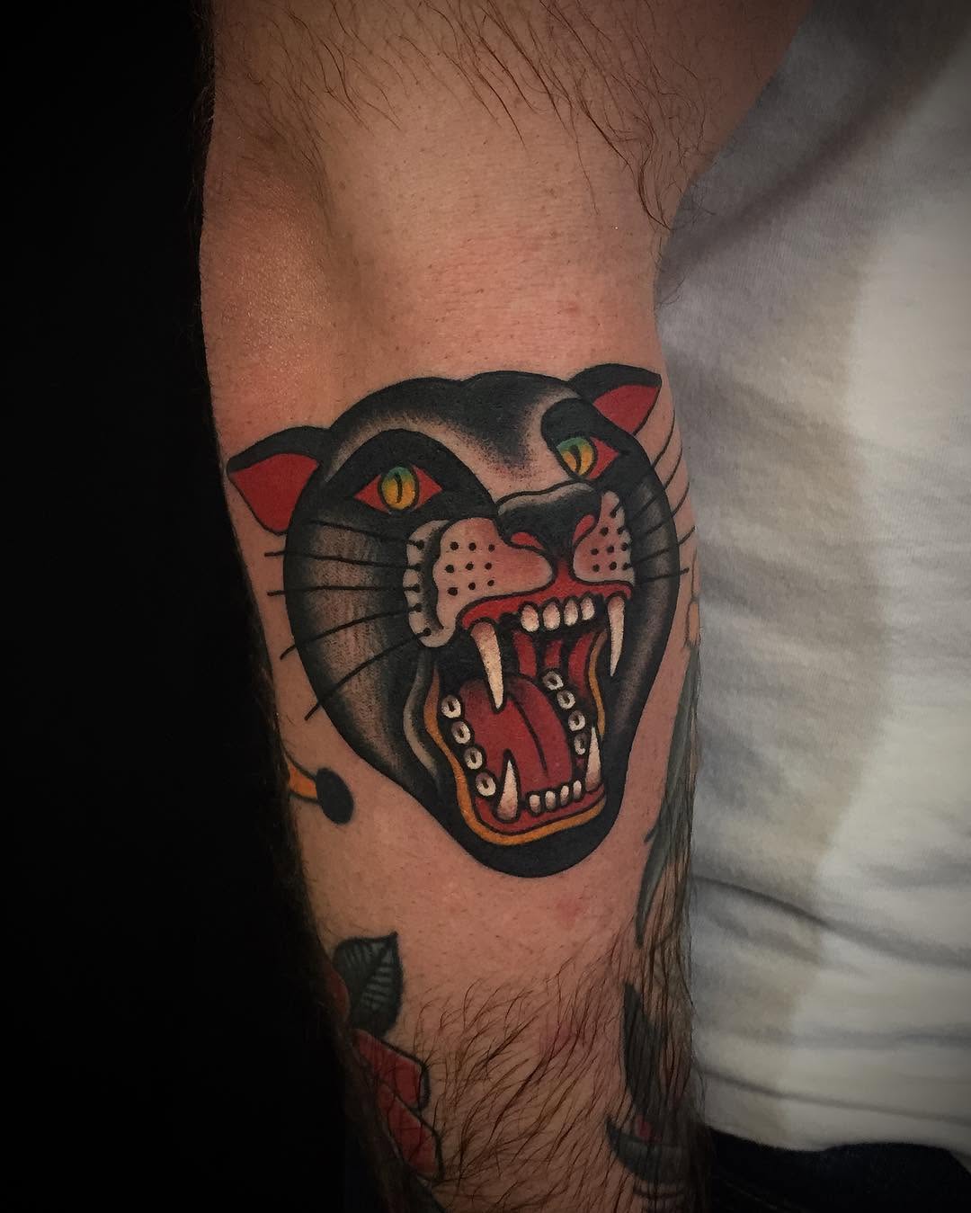 Animal, Tiger