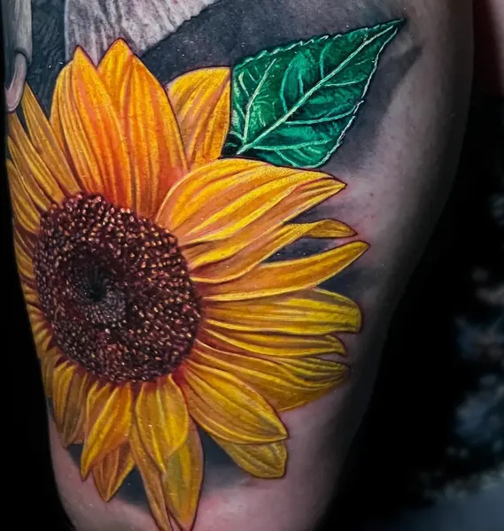 Flower, 해바라기